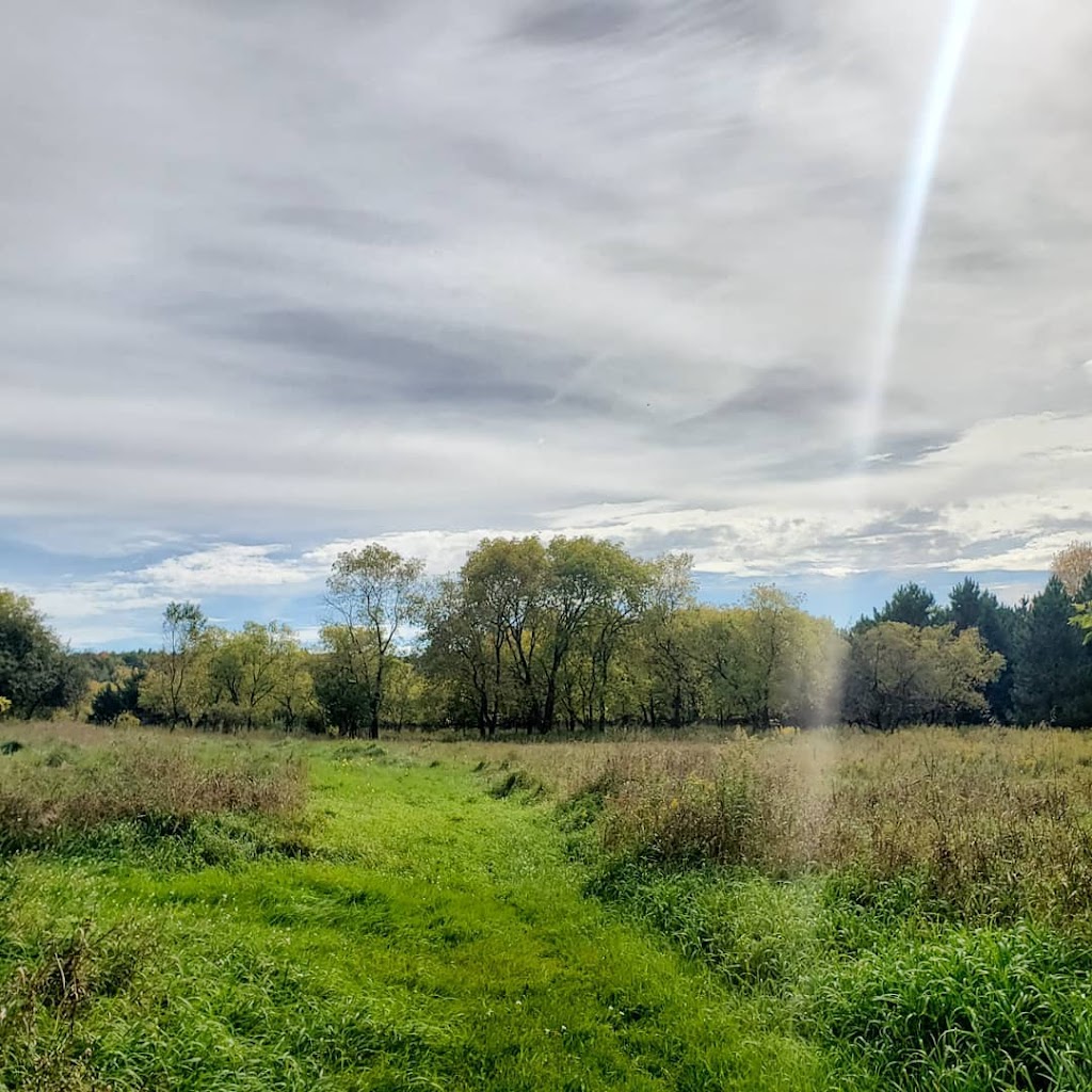 Goldenrod Farm & Nature School | 2352 90th Ave, Osceola, WI 54020, USA | Phone: (651) 343-4030