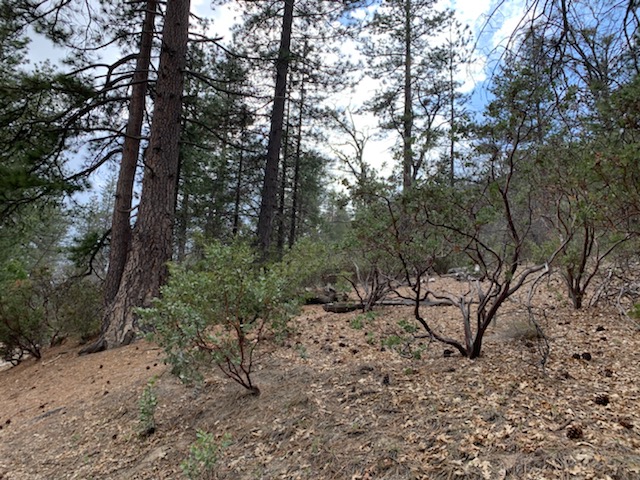 UC James San Jacinto Mountain Reserve | 20950 Banning-Idyllwild Panoramic Highway, 20950 HWY 243 - Lake Fulmor, Idyllwild-Pine Cove, CA 92549, USA | Phone: (951) 827-6835